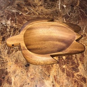 Small turtle Dish 🐢